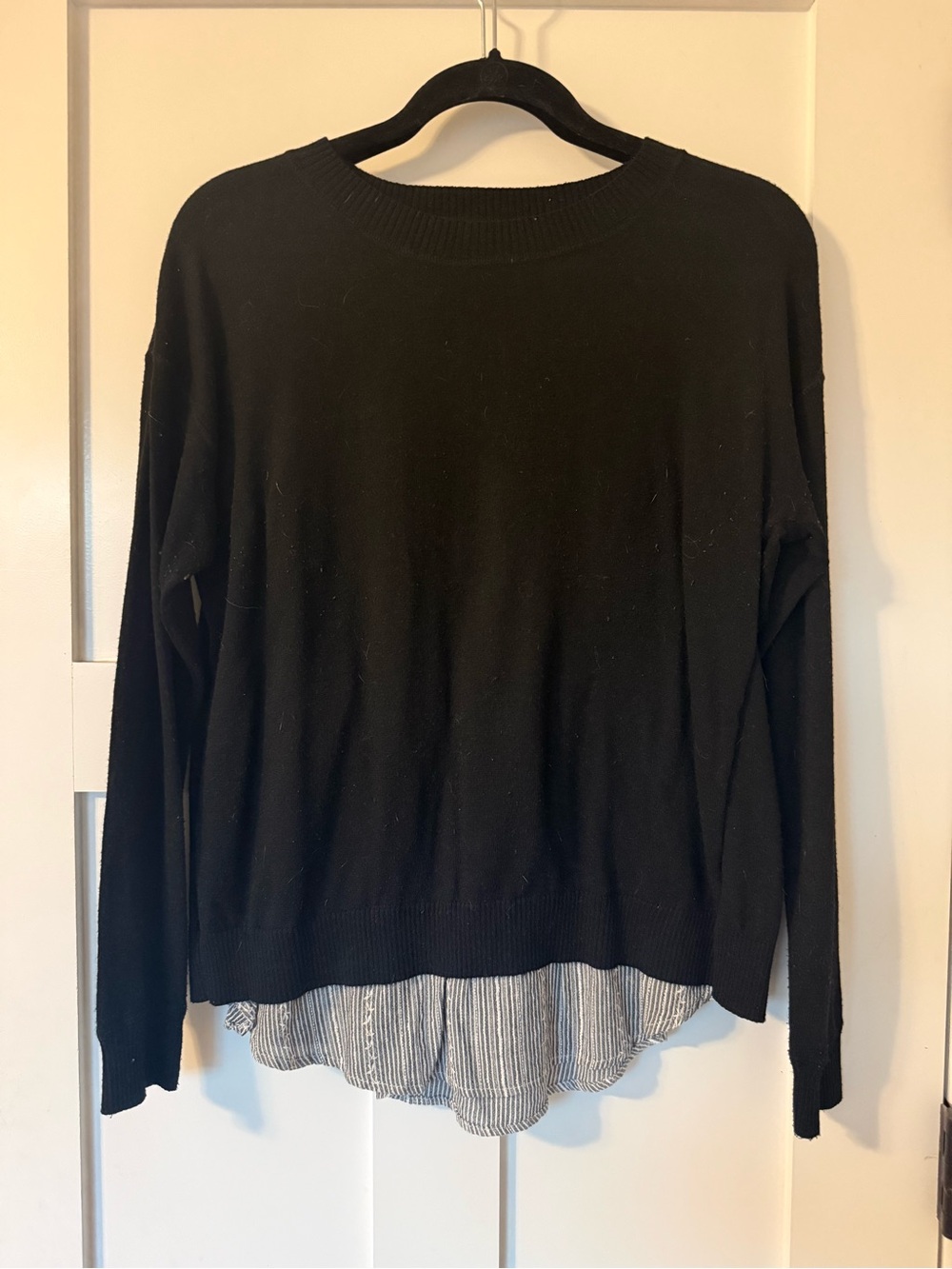 Hummingbird Black Sweater with Cute Hem Detailing